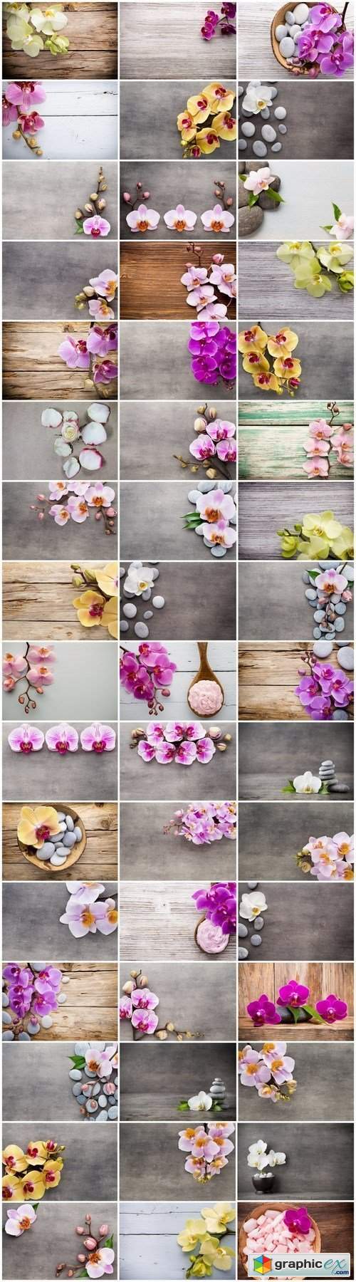  Orchid & SPA Backgrounds - Set of 50xUHQ JPEG Professional Stock Images 