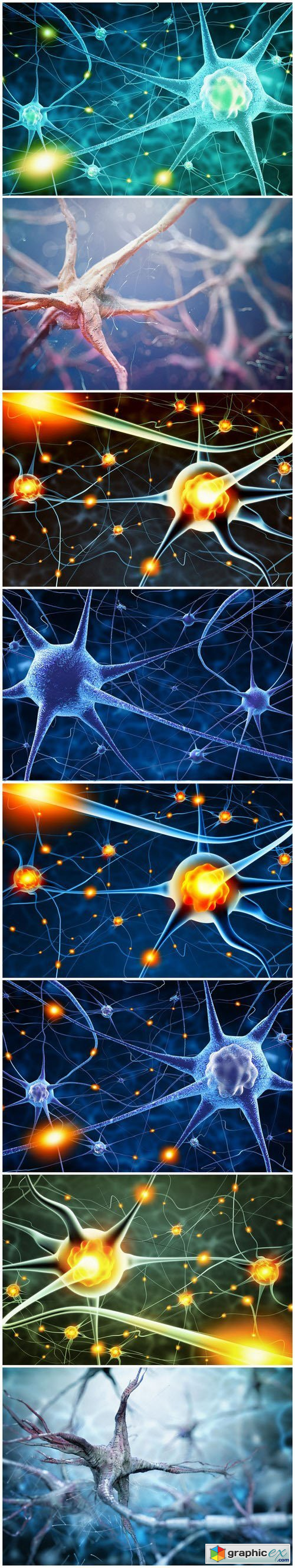 Active nerve cells - Set of 8xUHQ JPEG Professional Stock Images