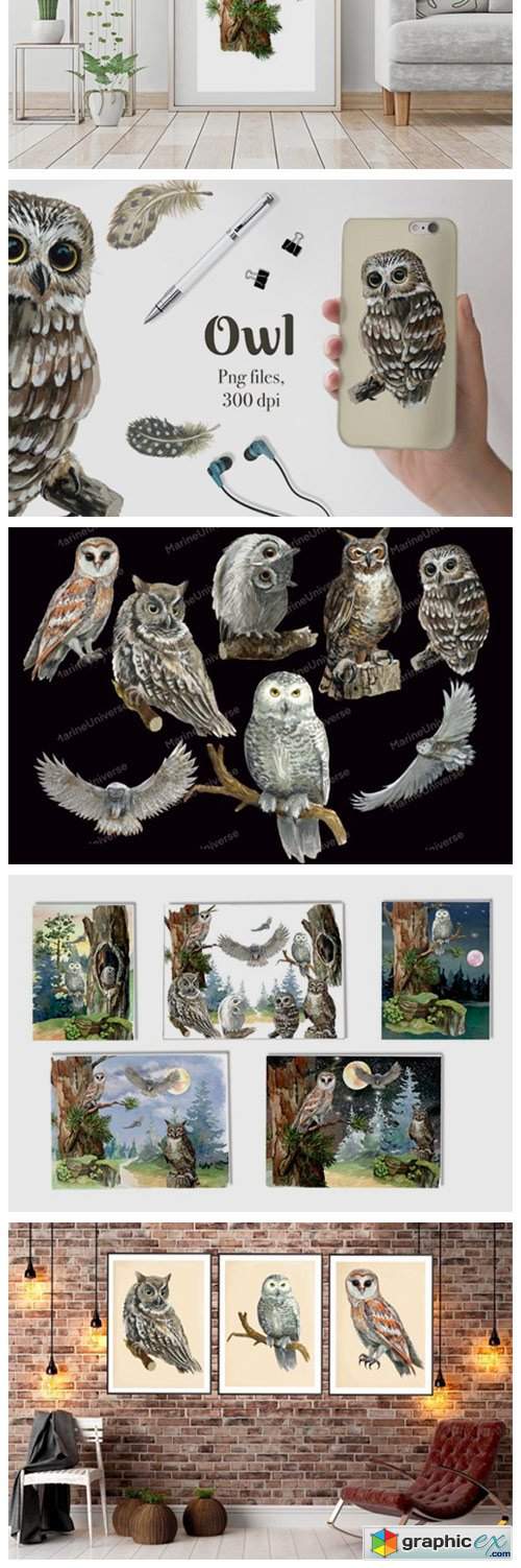  Owls in the Forest Watercolor Clipart 