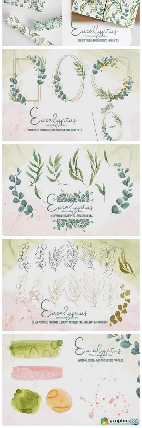  Eucalyptus Watercolor Collection 