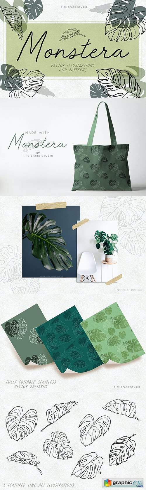  Monstera Leaf Vector Illustrations 