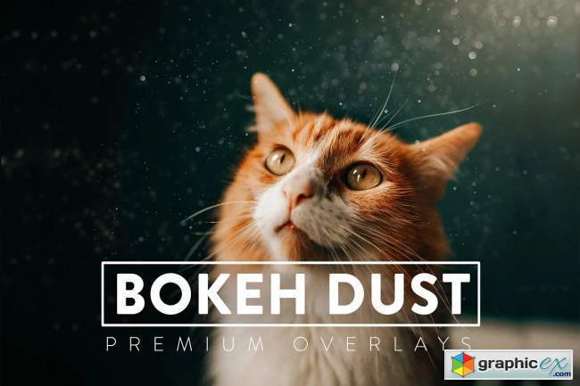 30 Bokeh Dust Overlays