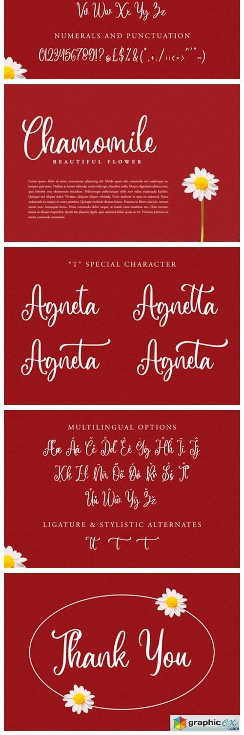  Aringtone Font 