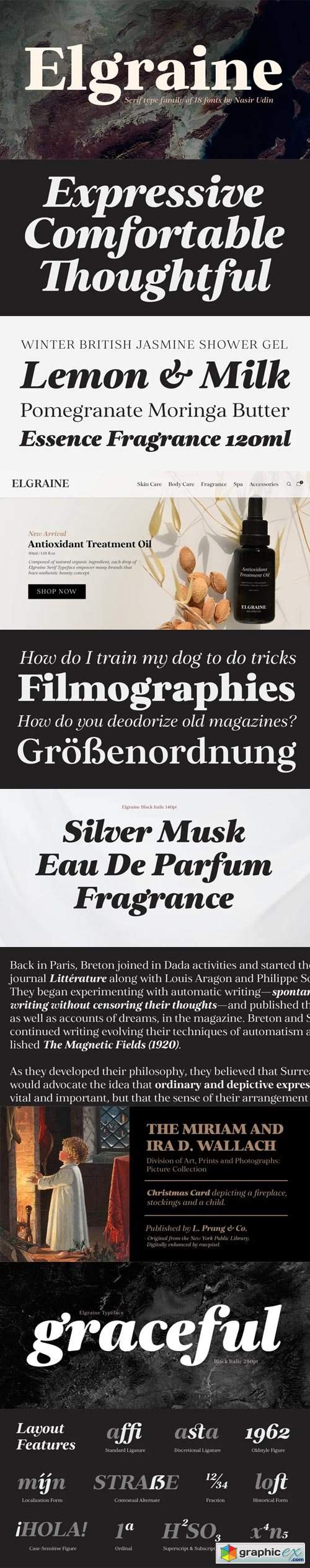  Elgraine Font Family 