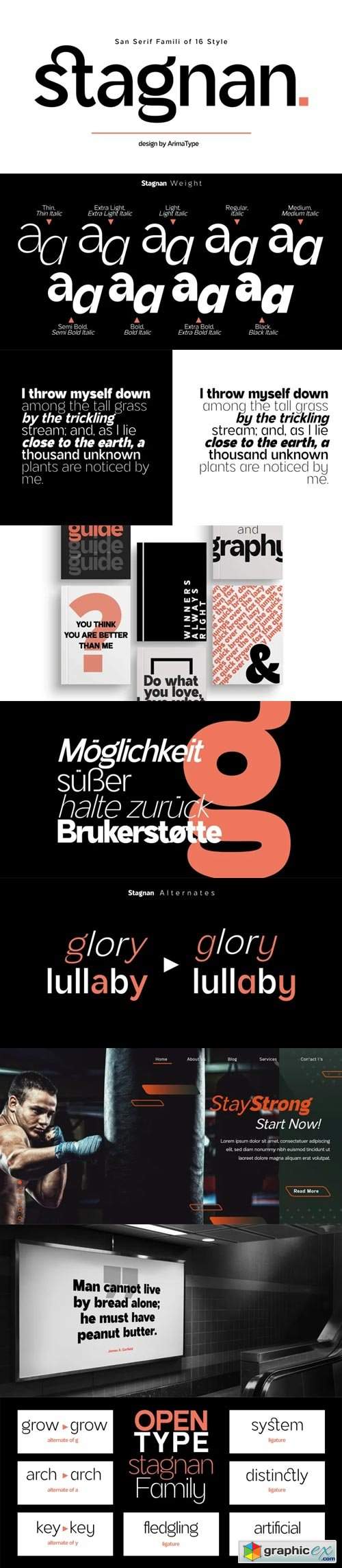  Stagnan Font Family 
