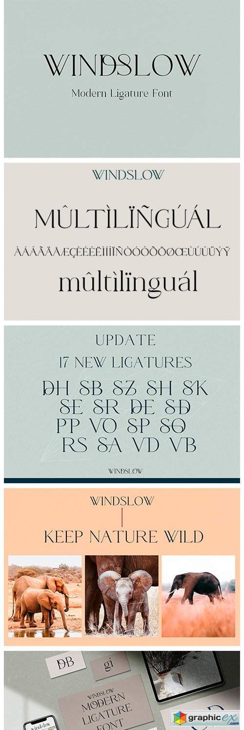 Windslow - Modern Ligature Font