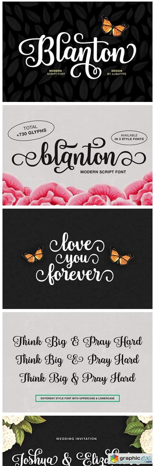  Blanton Script Font 