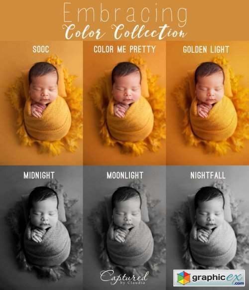  The Embracing Color Collection 