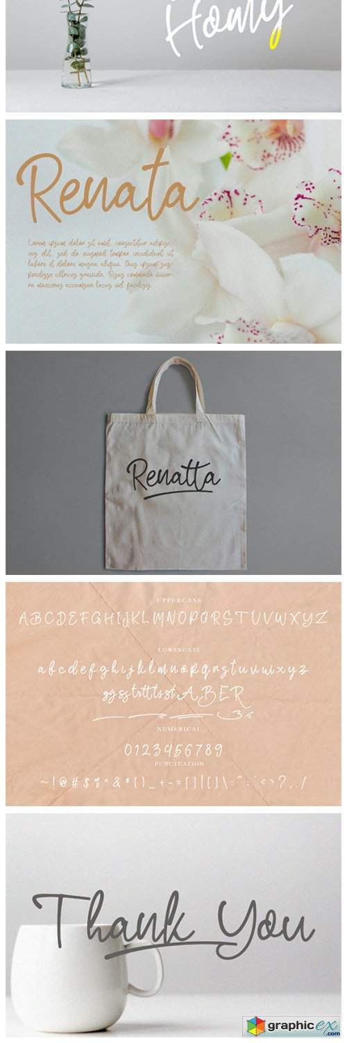  Renatta Script Font 