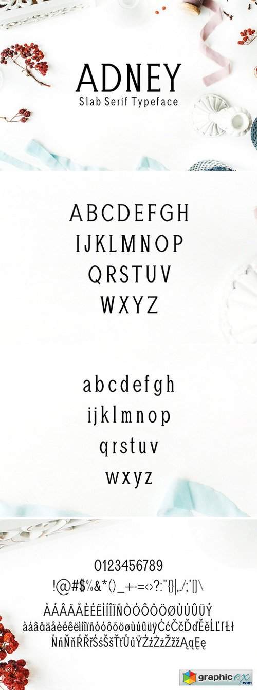  Adney Slab Serif 3 Font Family 