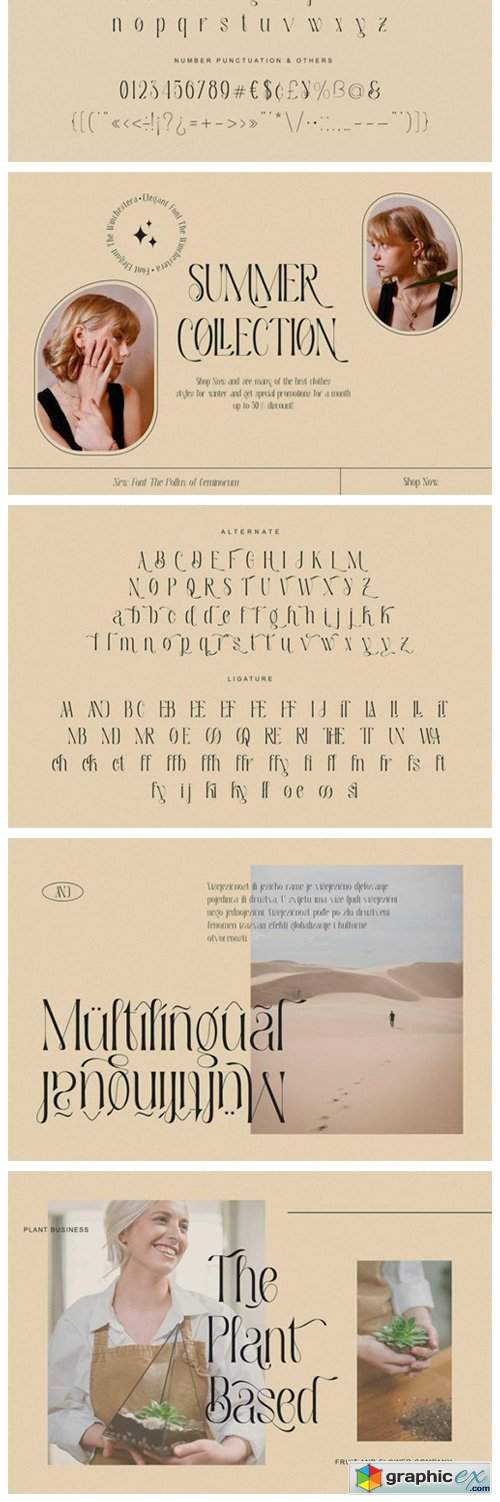  The Winchestera Font 