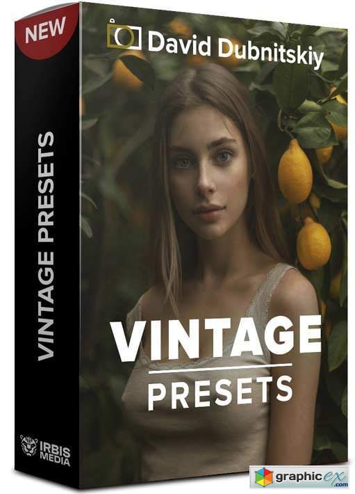 David Dubnitskiy - Vintage Presets