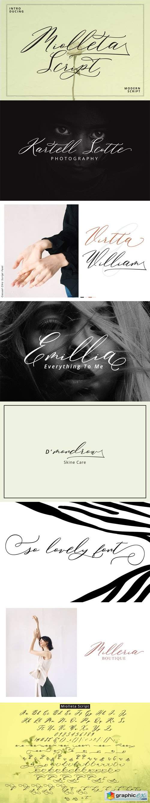  Miolleta Script Font 