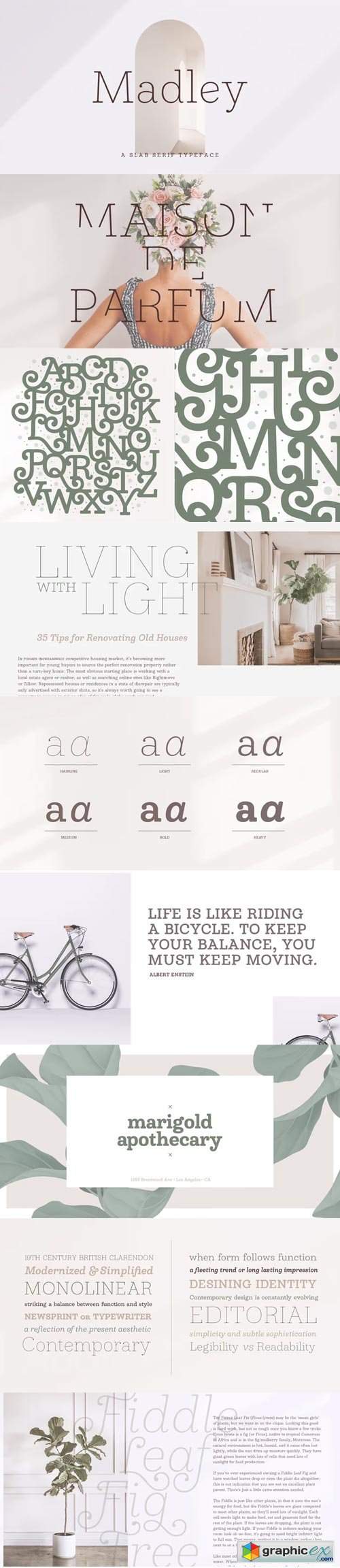  Madley Font Family 