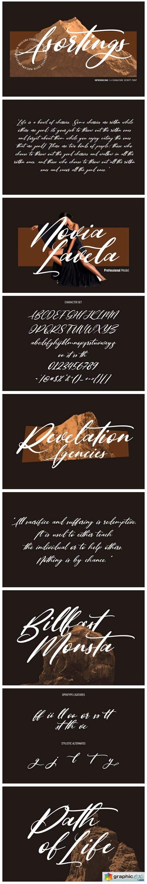  Asortings Script Font 