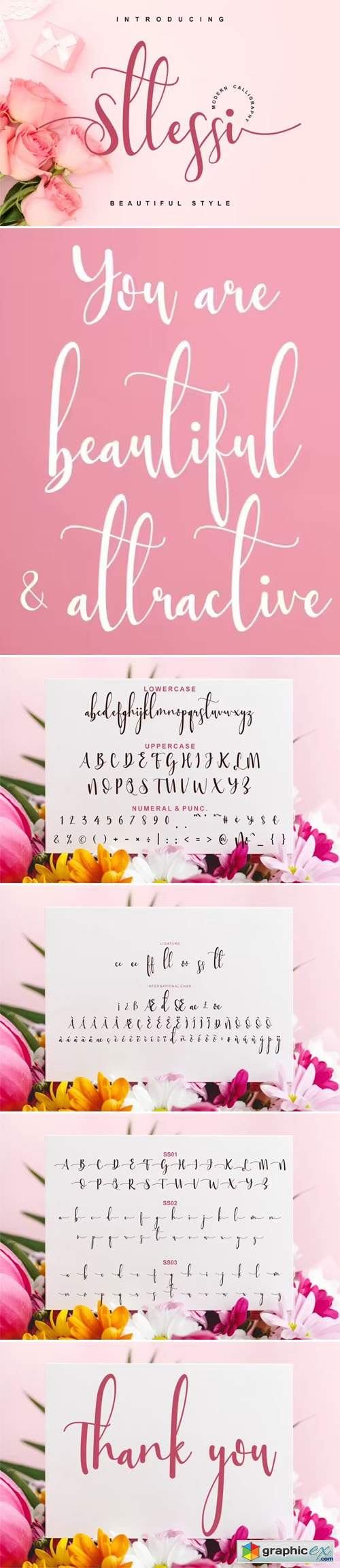  Sttessi Script - Romantic Calligraphy Font 