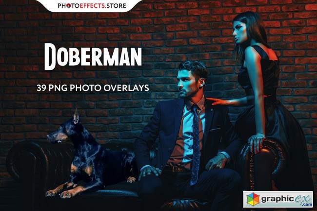 39 Doberman Photo Overlays
