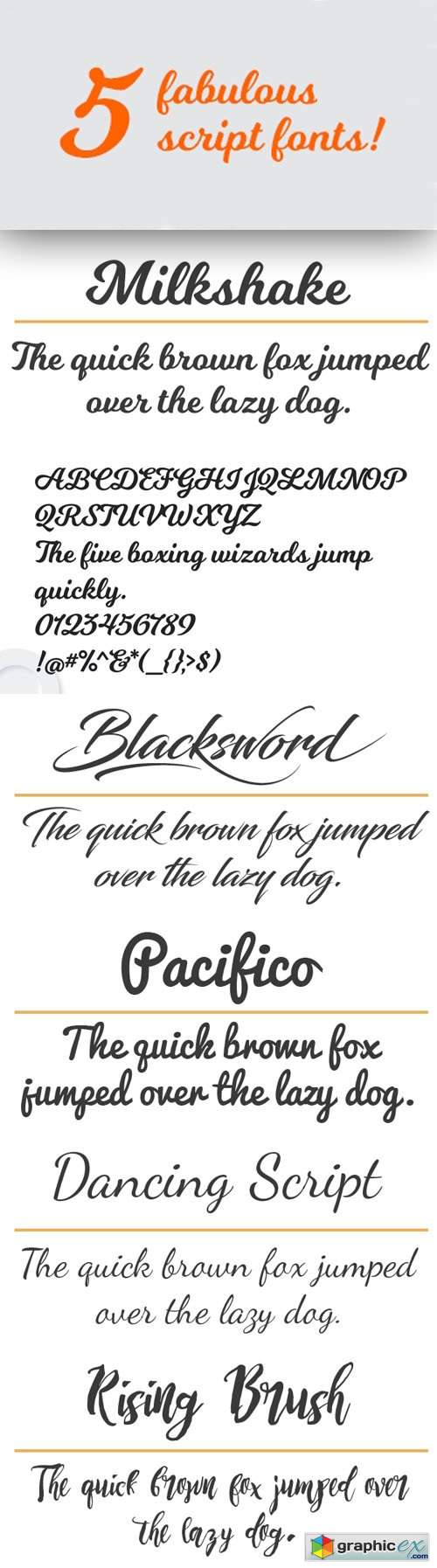  5 Fabulous Script Fonts Pack 