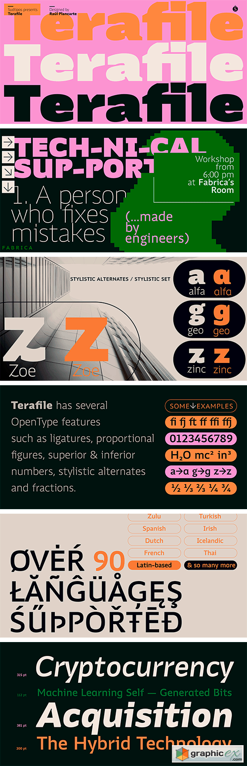  Terafile Font Family 