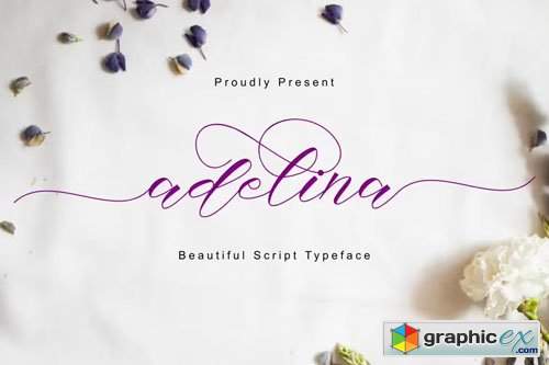  Adelina - Lettered Script Typeface 