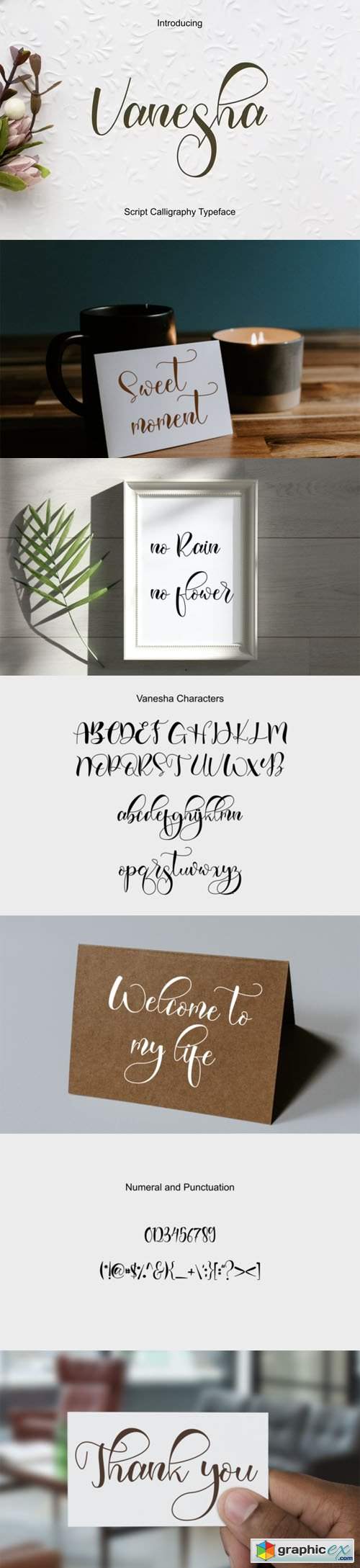  Vanesha Script - Lettered Calligraphy Typeface 