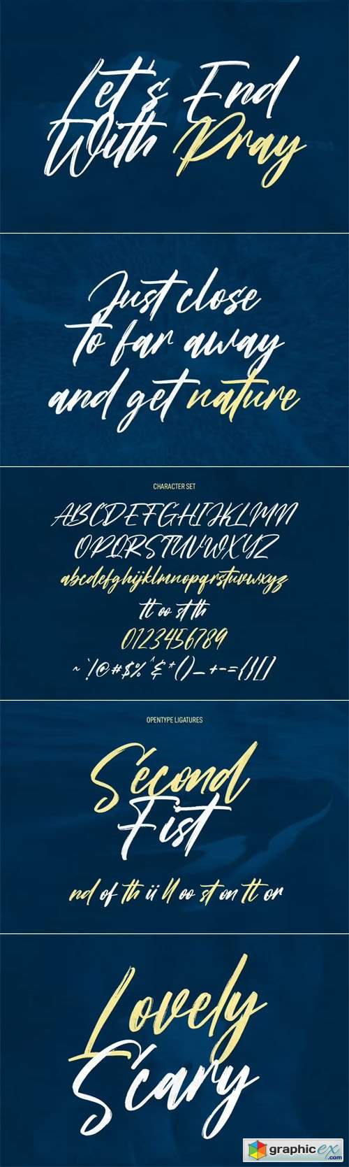  Mitoda Reels - Brush Script Font 