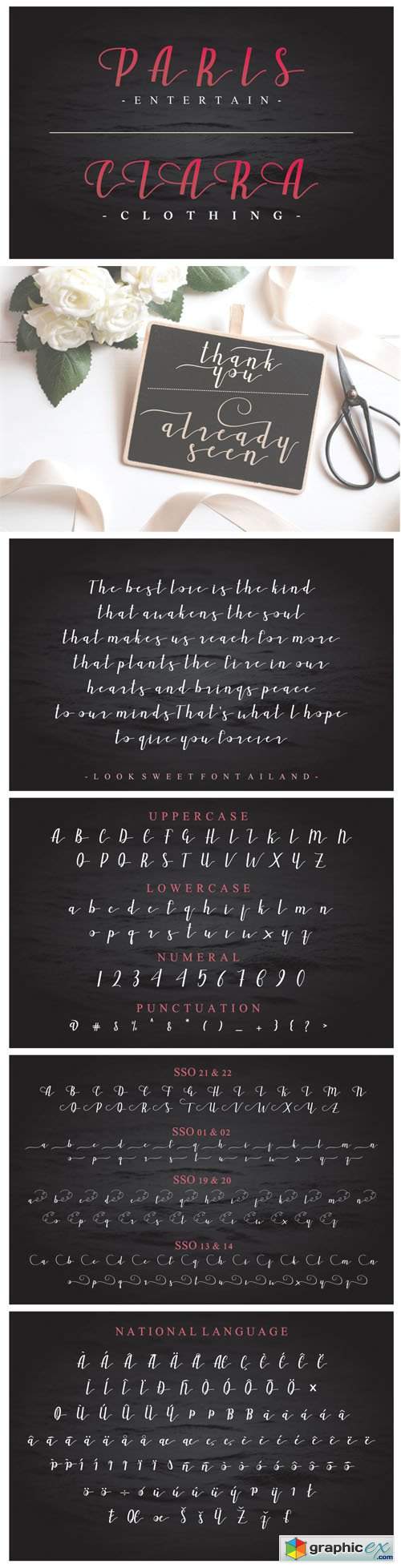  Ailand - Elegant Script Typeface 