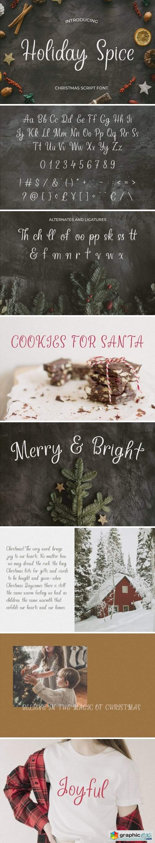  Holiday Spice Font 