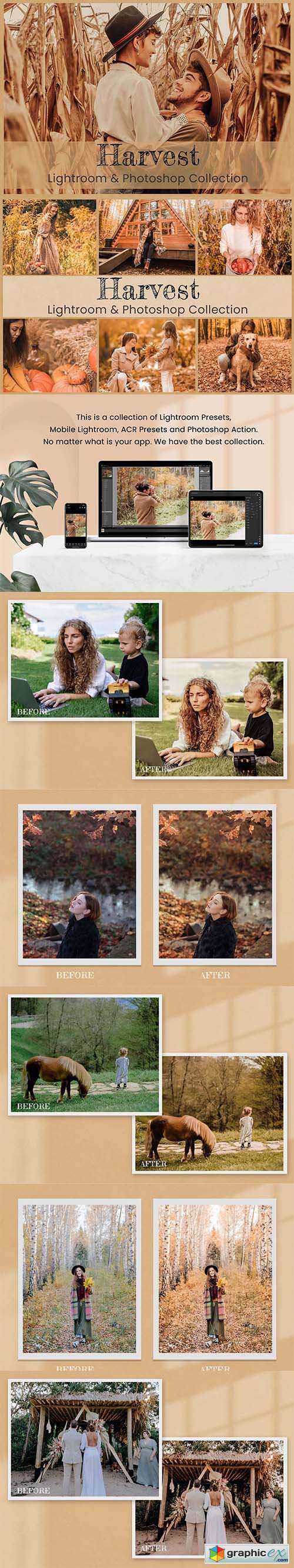 Harvest Photoshop Actions Lightroom 