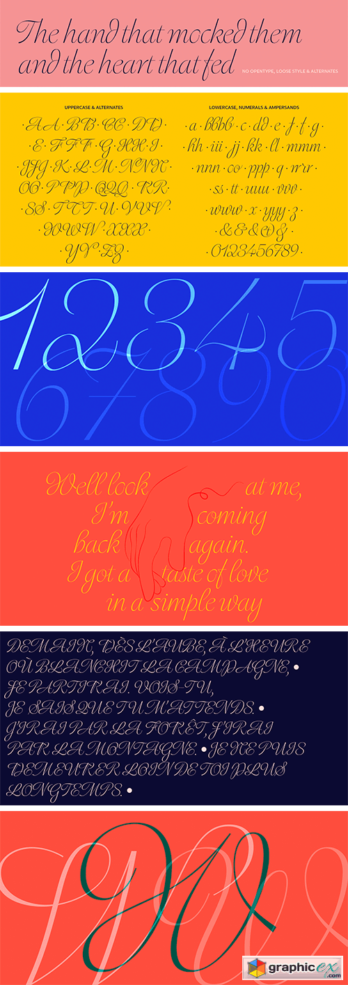  Dorset Script Typeface 