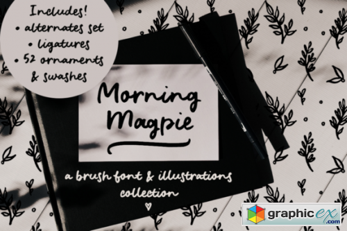 Morning Magpie brush font