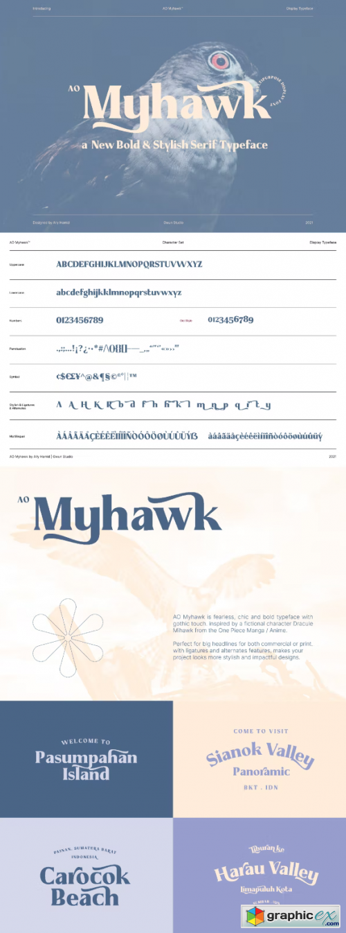 Myhawk Display