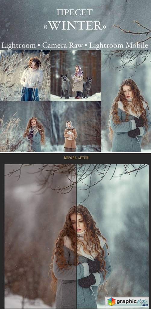  Anna Melnikova photographer - Winter presets 