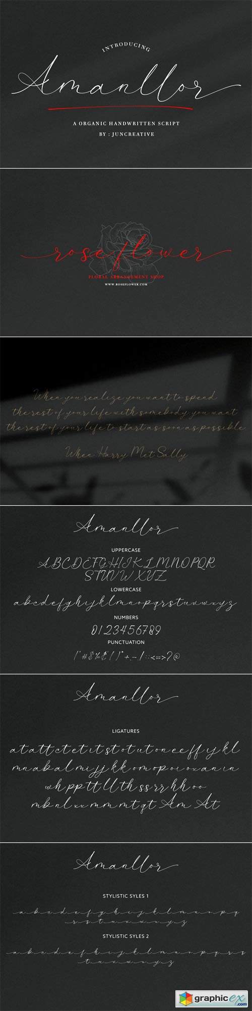  Amanllor - Organic Handwritten Script Font 