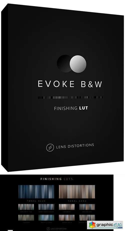 Lens Distortions - EVOKE B&W Cinematic LUTs