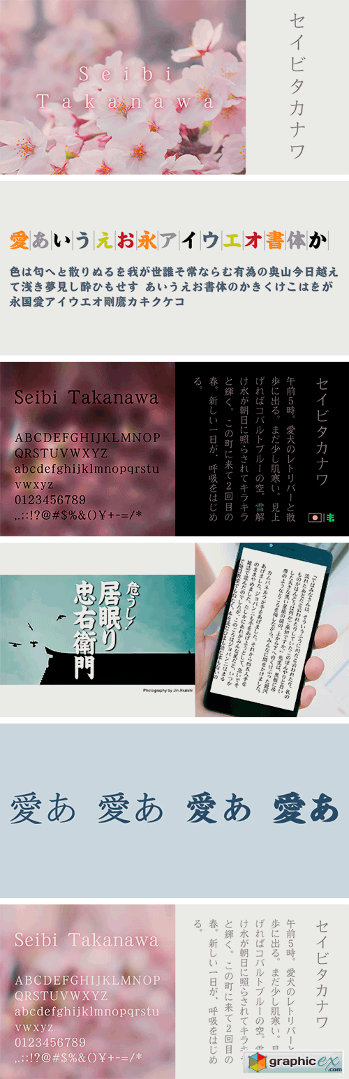 Seibi Takanawa Font Family | Latin, Cyrillic, Greek & Japanese