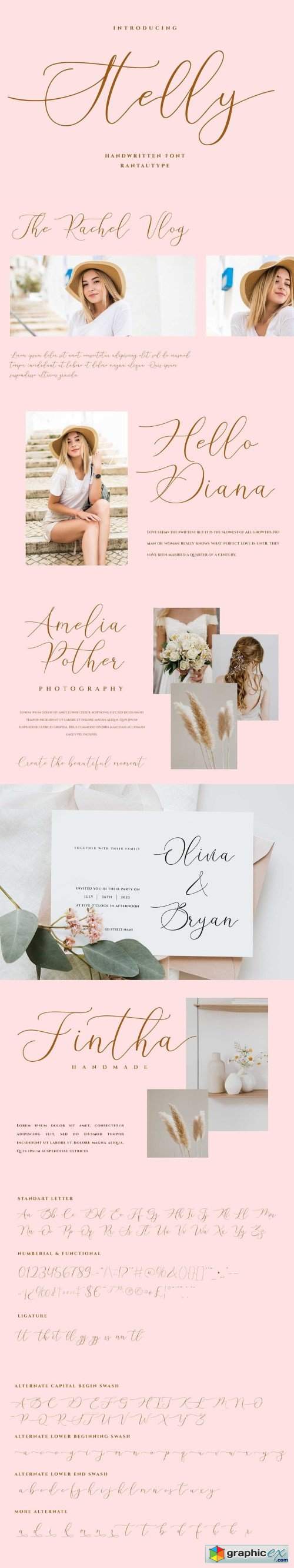 Stelly Calligraphy Font
